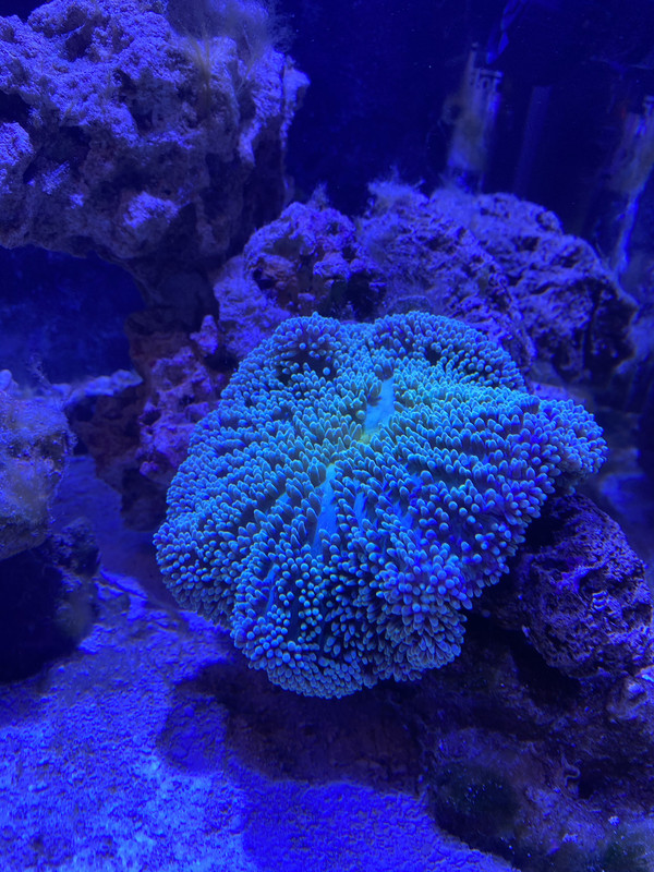 616EB6AA-231E-4C40-A6B0-2F9CE3AAE482