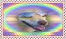 kewl beans dog