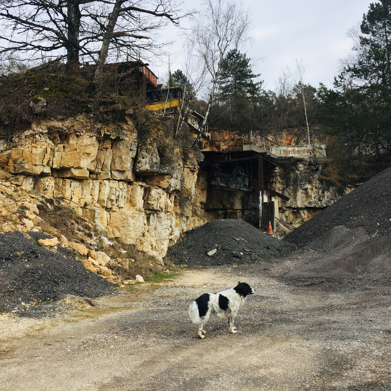 AF9CD076-995C-47C7-9D71-36D2257966BC