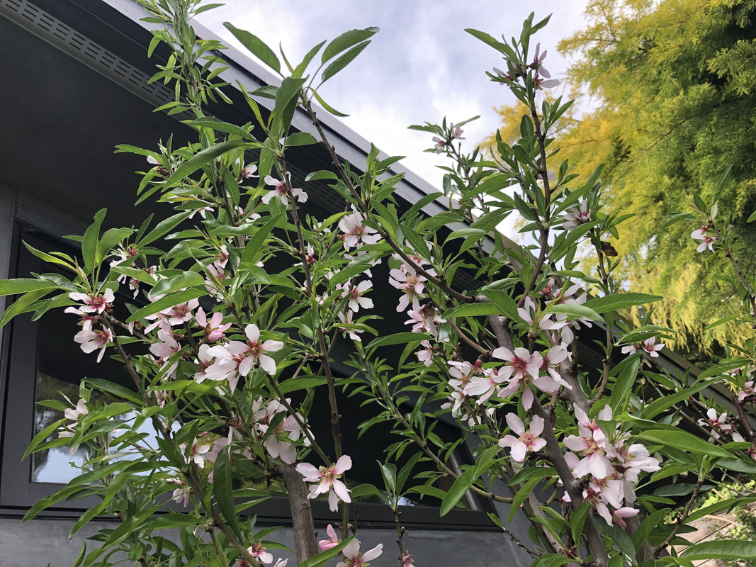 3FE0FB5D-59BA-4370-8C5A-198A28FD1B9A