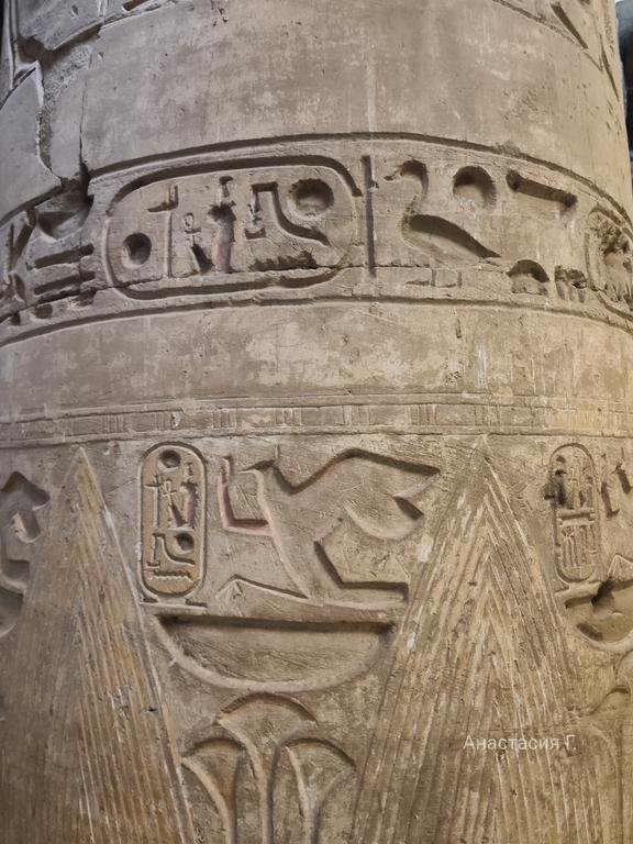 Ленивый Египет (Хургада, Луксор, Каир), декабрь 2025 - январь 2026