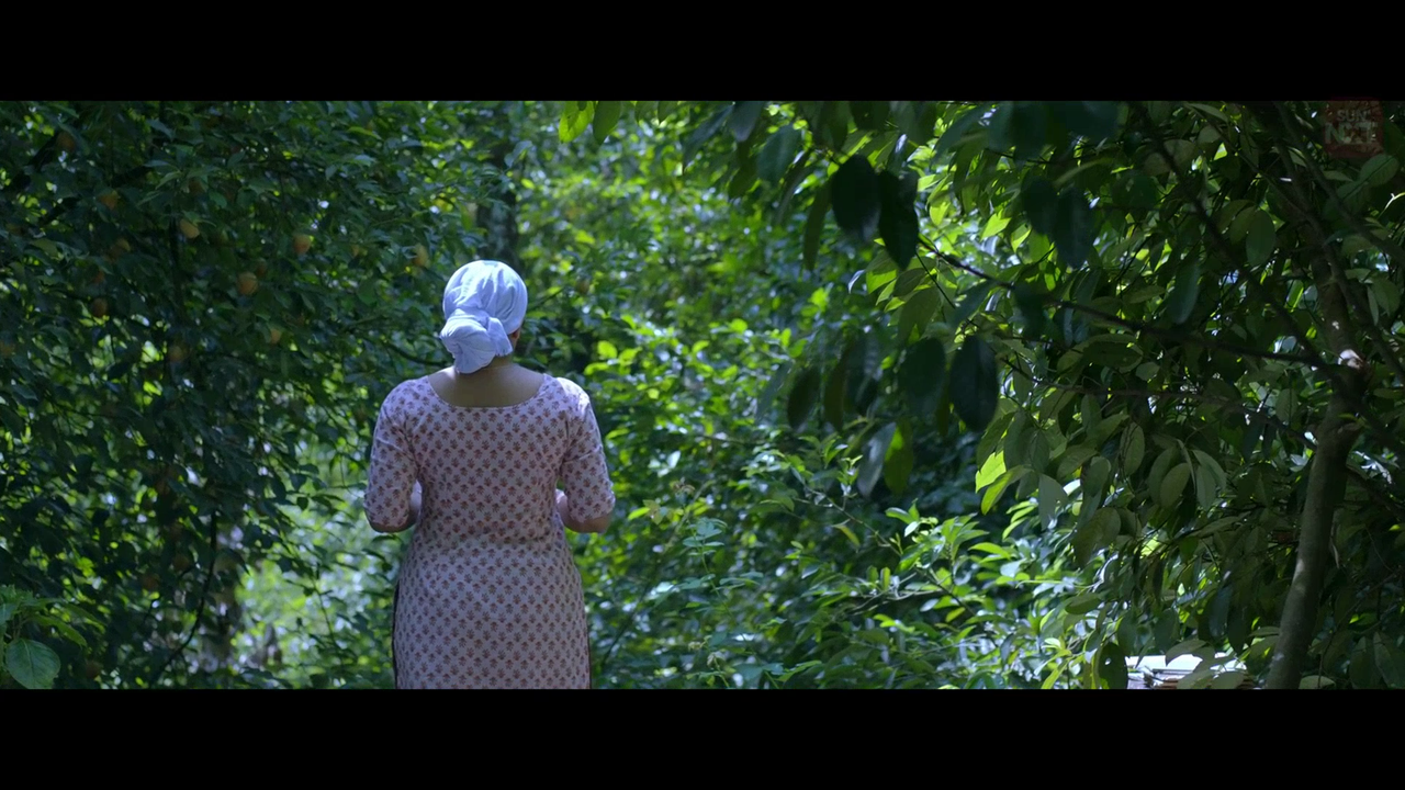 vlcsnap 2026 02 11 15h45m25s293