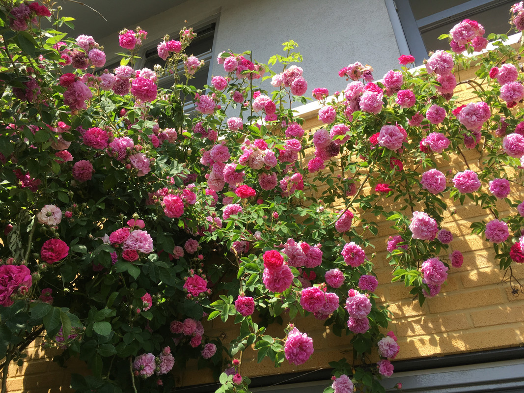 7B41305D-DEC6-481A-BD1F-D8B2DFBB438D