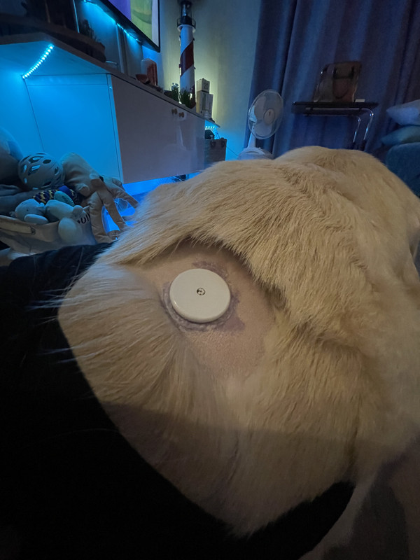 4FB017F8-5500-47A2-A510-AF8E1299CDFF