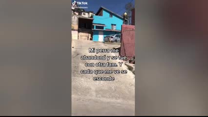En TikTok perrita ya no quiere volver a ver a su antigua dueña