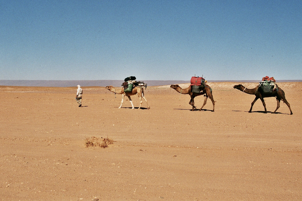 Introducción - Al Sur del Sur: entre el desierto y el océano (13)
