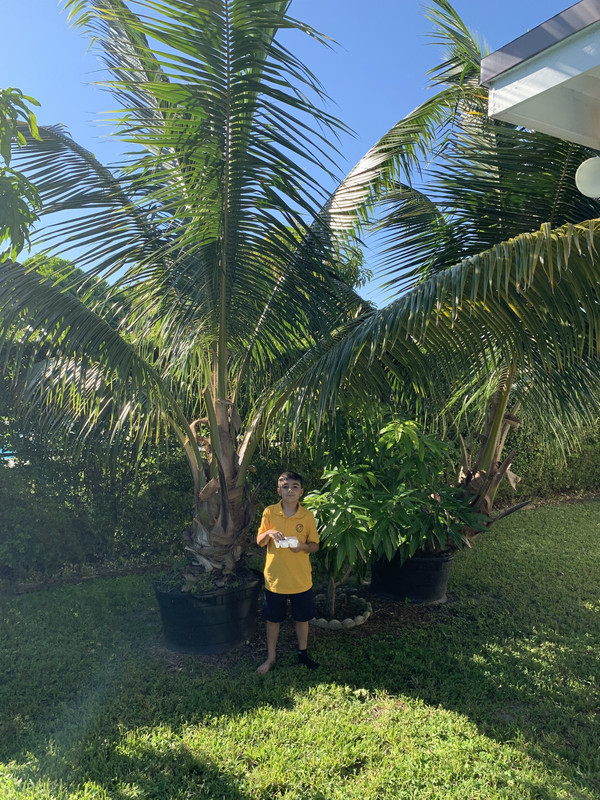 10D5CED8-5DAF-4EFF-A12E-F120CF9DF772