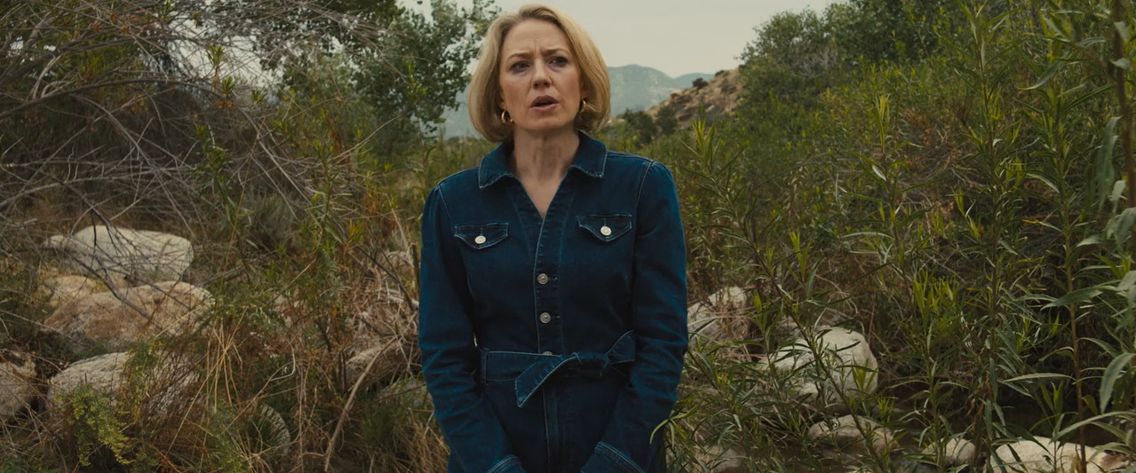Lake George 2025 WebRip [Hindi + English] 480p 720p ESub Screenshot