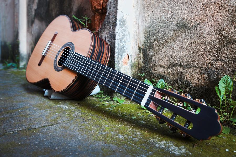 Macassar Ebony - alguém já viu essa madeira por aí? IMG-2348