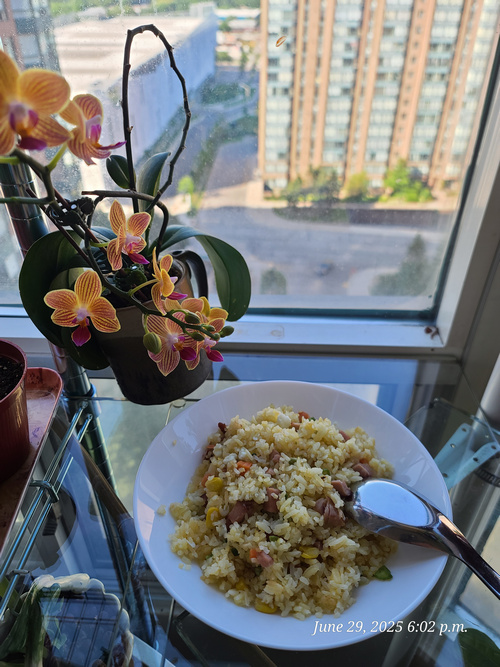 [Image: 20250629-180211.jpg]