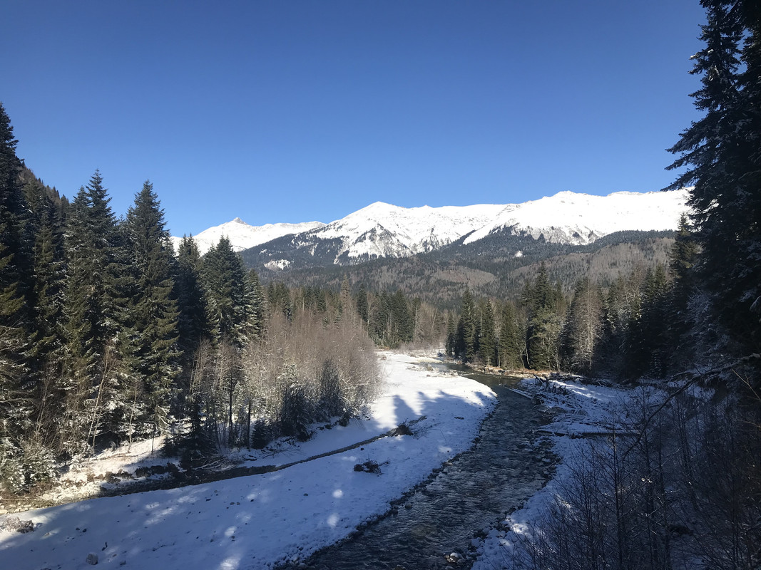 B1983A2D-4941-4790-834D-9EB6E9F359F6