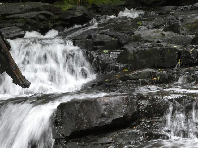 Parque Nacional de La Mauricie - DOS SEMANAS EN EL ESTE DE CANADÁ (ONTARIO Y QUÉBEC) (19)