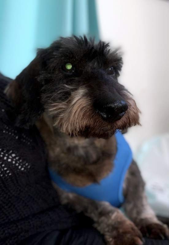 [Image: IMG-0263-1.jpg]