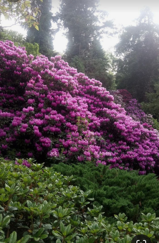 Screenshot_20240202_202509_Pinterest