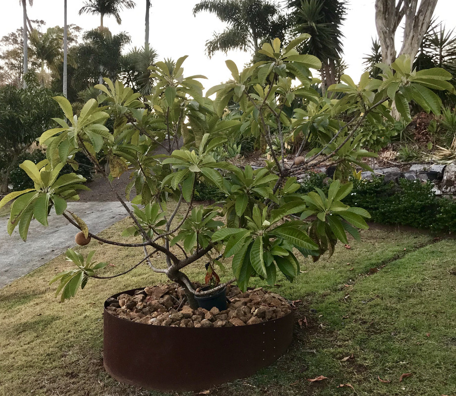 47A0B39E-121B-46FA-BBB9-CCC4262CF83F