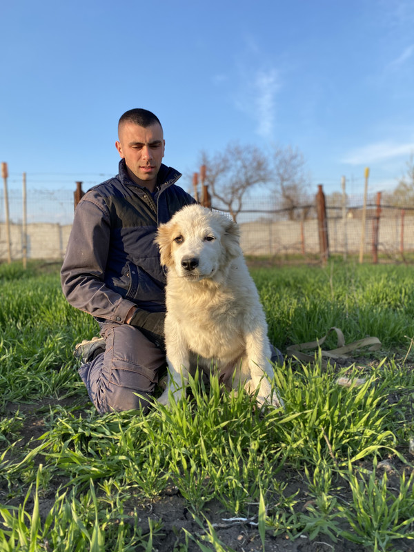 55853C84-7188-4F0F-B073-51F9303942FD