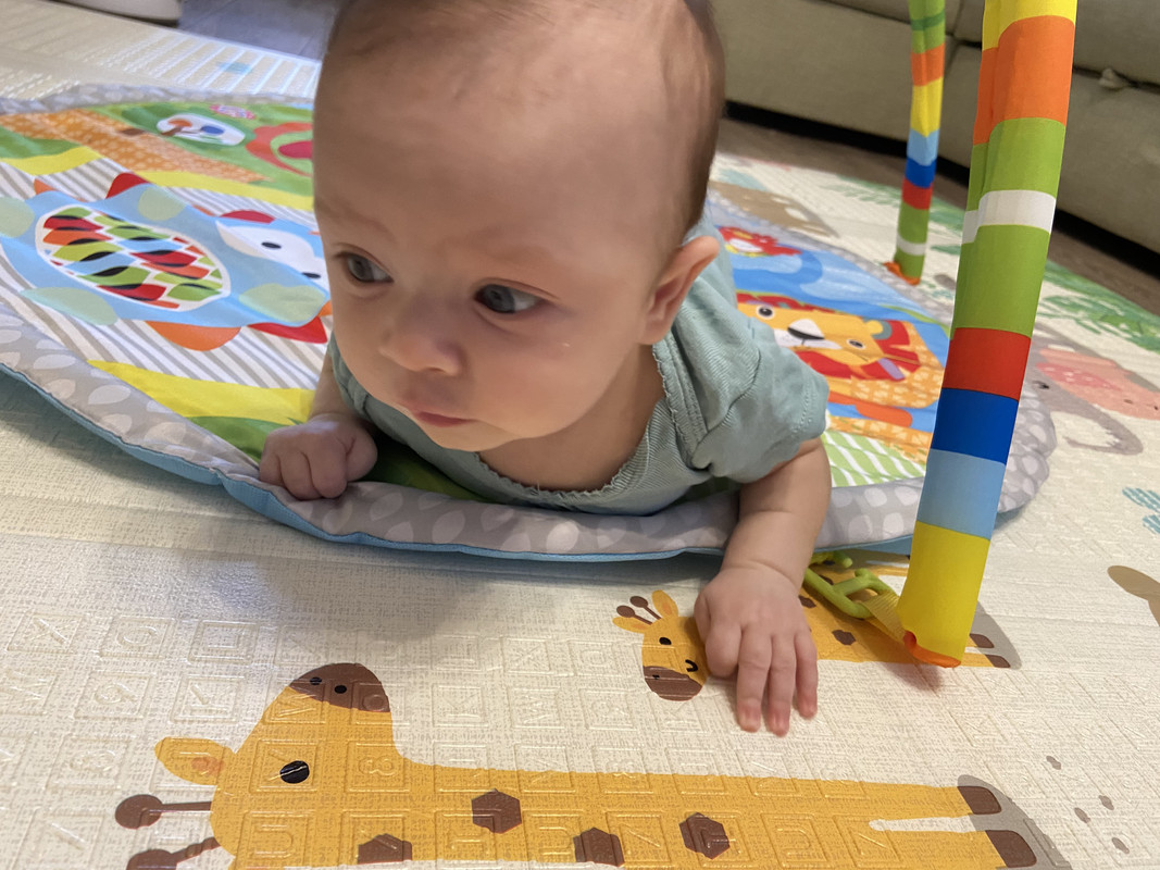 48FE7DF4-E9BE-4160-A5CC-70ACF8EE03AC