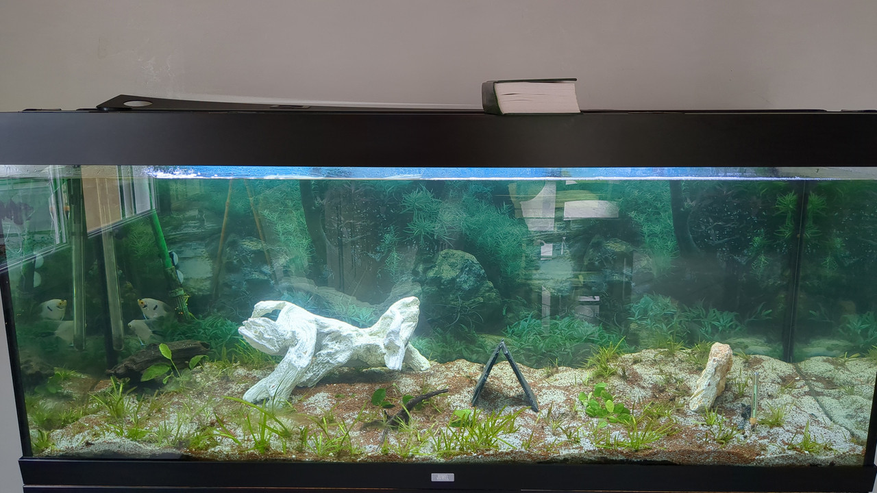 17106732818995102149535569351866