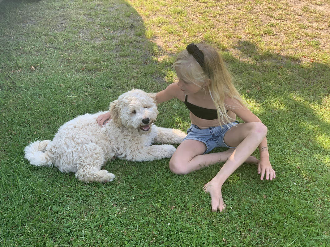 8FDEF67A-8D06-40DD-8183-CA0C105B4D3A