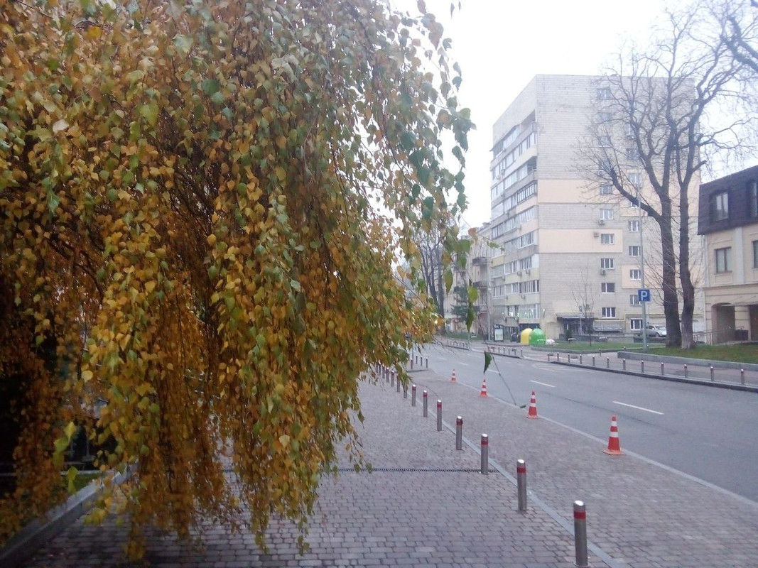 photo_2024-12-01 9.06.06 дп