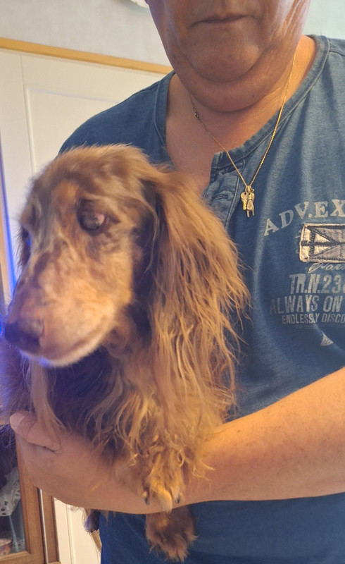 [Image: 20250910-161423.jpg]