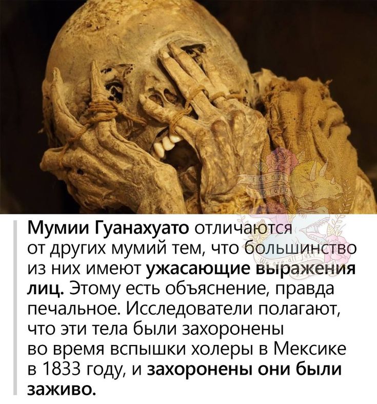 [Изображение: 9dbc0beed7dd6c9197d82cd0f4a50e2a.jpg]