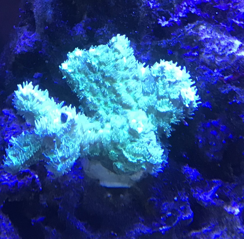 C7D9FBAF-3288-4F5F-92DD-1691BC7ADF61