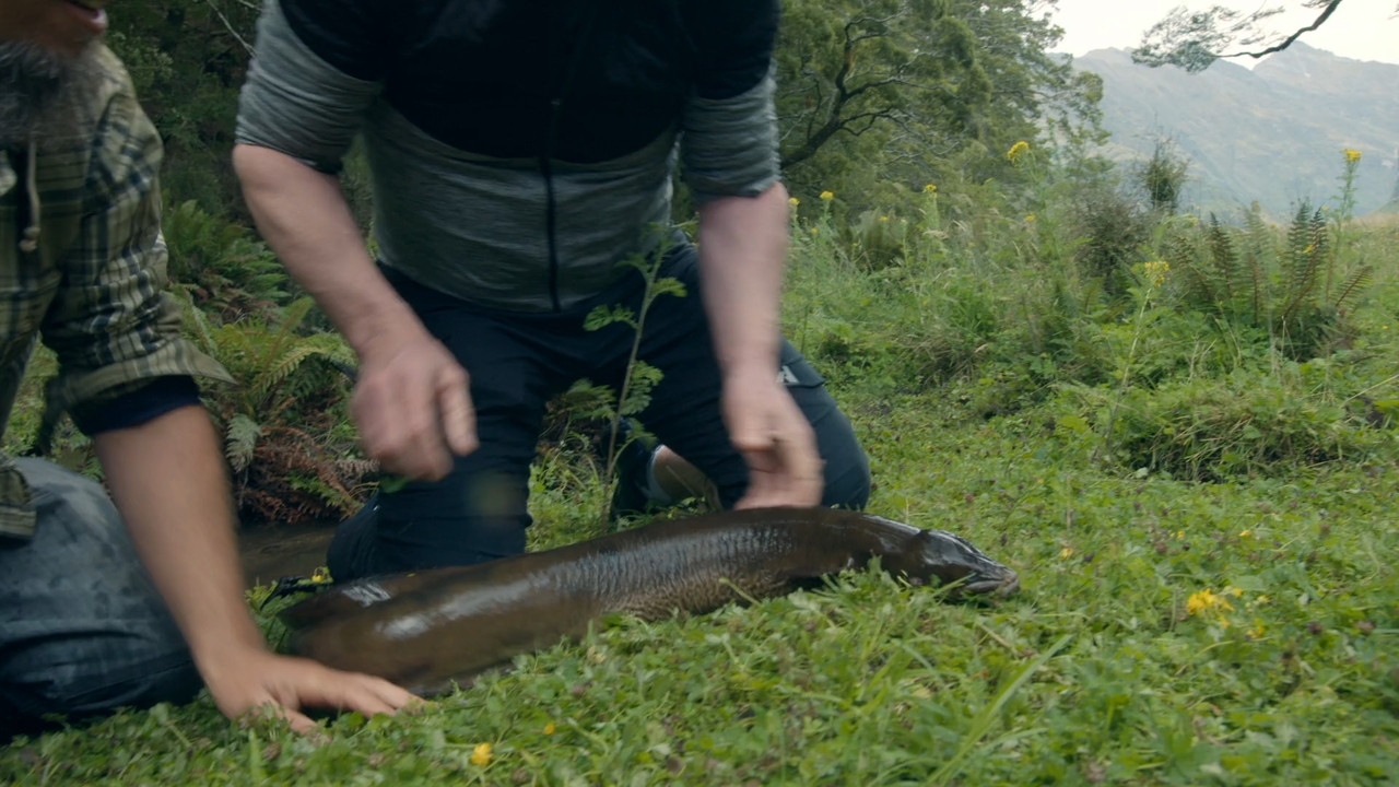 Gordon Ramsay_ Uncharted  S01E02 Disney  1080p WEB DDP x264-NM21vi.mkv_snapshot_25.50.616