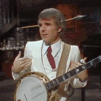 stevemartin.gif