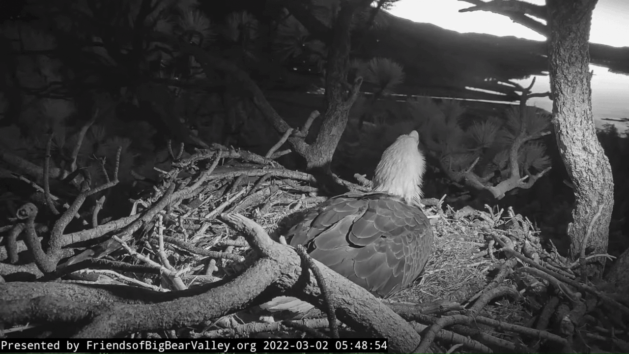 Webp.net-gifmaker (2)