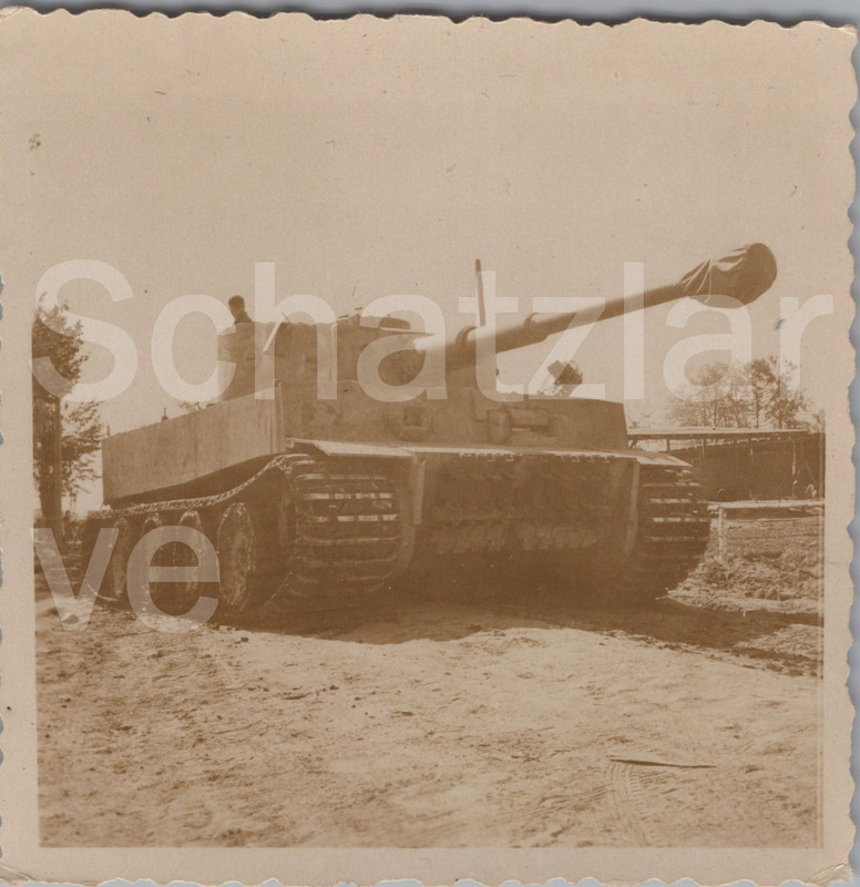 Foto Schwerer Panzerkampfwagen VI Tiger im Gelände Einsatz