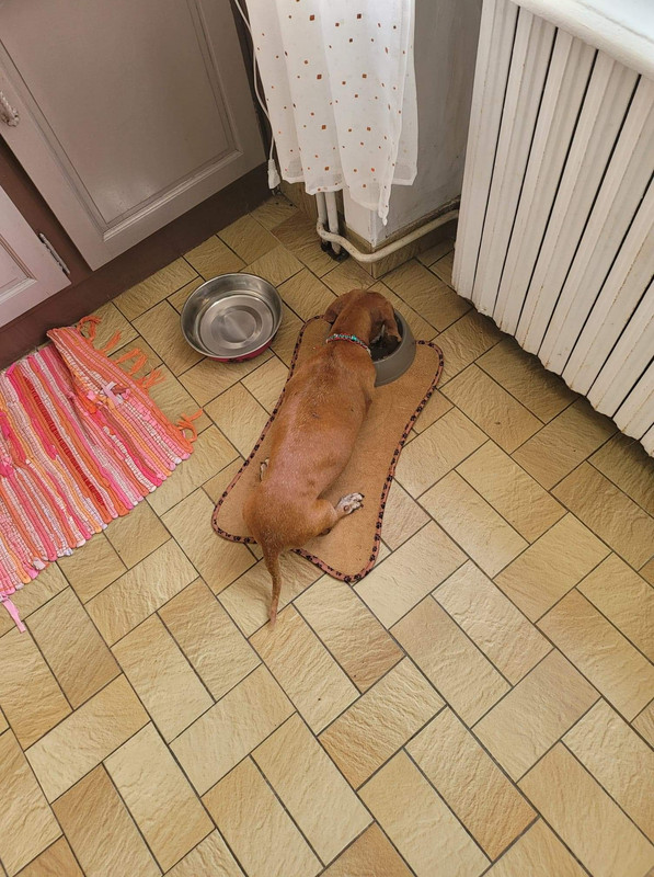 [Image: 6-AE2-E22-F-8-A1-E-4729-BC1-E-5-BF9-C1782-E23.jpg]