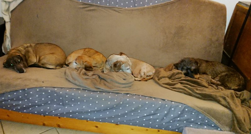 [Image: DSC-2468.jpg]