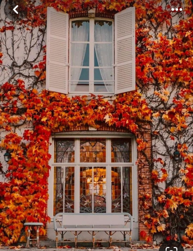 Screenshot_20231128_002324_Pinterest