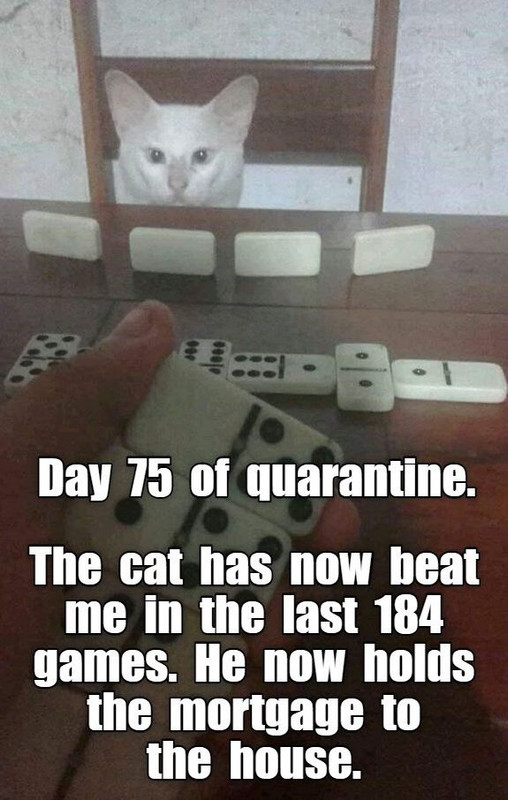 95018369_265109918215677_7377242333932158976_o