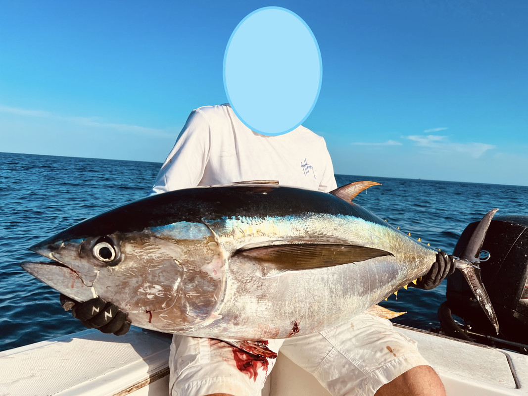 IMG_026303 (Conflicto de mayúsculas y minúsculas)