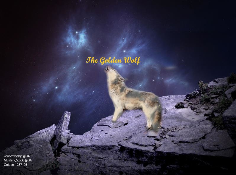 night-wolf.jpg