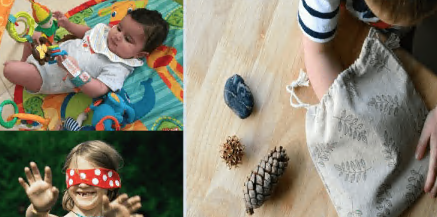 Montessori Sensorial Course For Early Childhood (3-6)