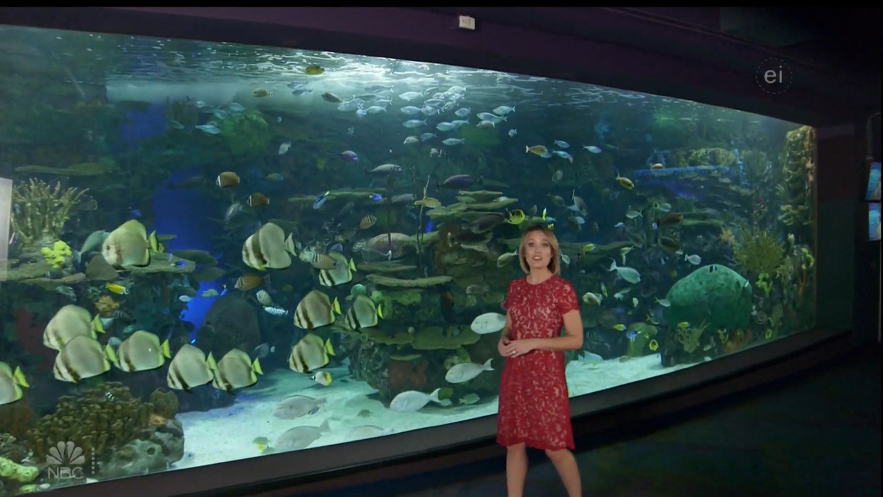 11.07 - 15.00.00 - Earth Odyssey With Dylan Dreyer. The world's smart....ts_snapshot_01.05.08.164