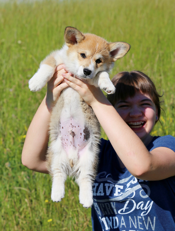 IMG_5553 грут 8.06.21