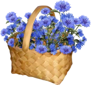 78d685fd.webp