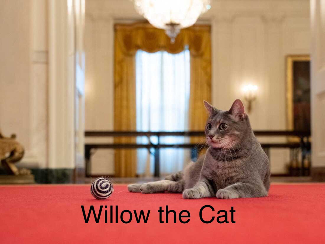 7B5B0BA6-EDE6-4DA4-90CA-D38A7BDA1598