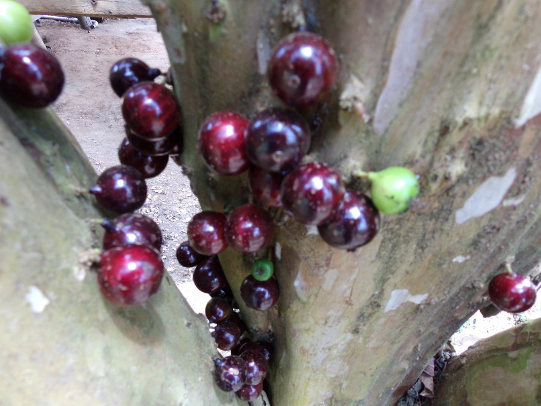 WhatsApp Image 2020-12-20 at 00.58.58 (7)