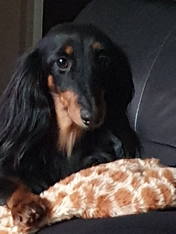 [Image: IMG-20240228-205201.jpg]