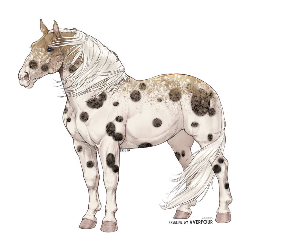 wildwest9.png