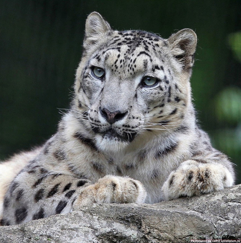 54998C36-3602-49A5-8264-2A77086EDC92