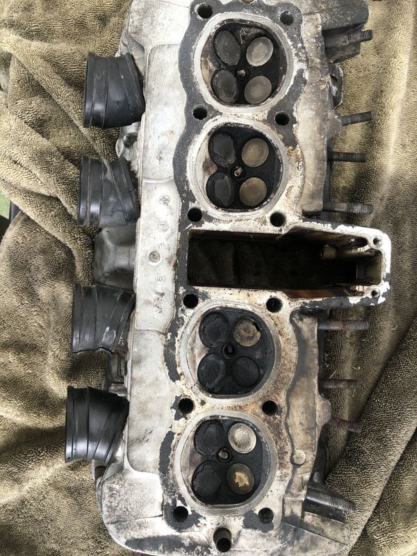 8FbfVLVqRlWL6gVEV5jqqg