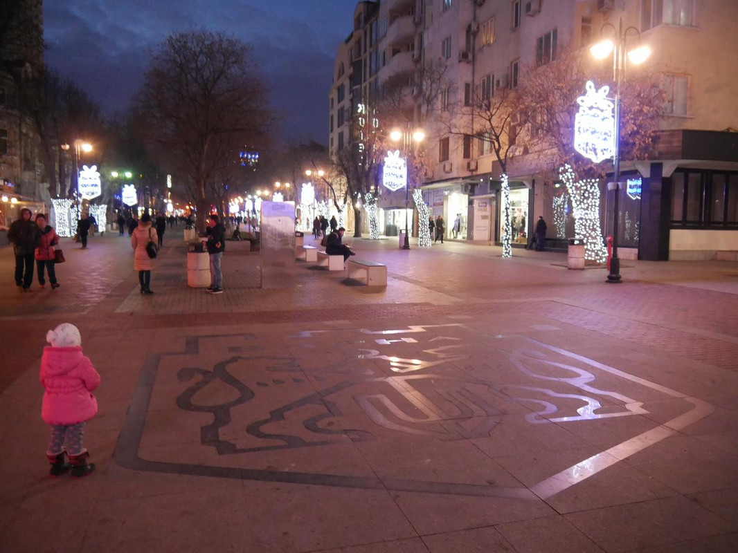 P1090021.jpg