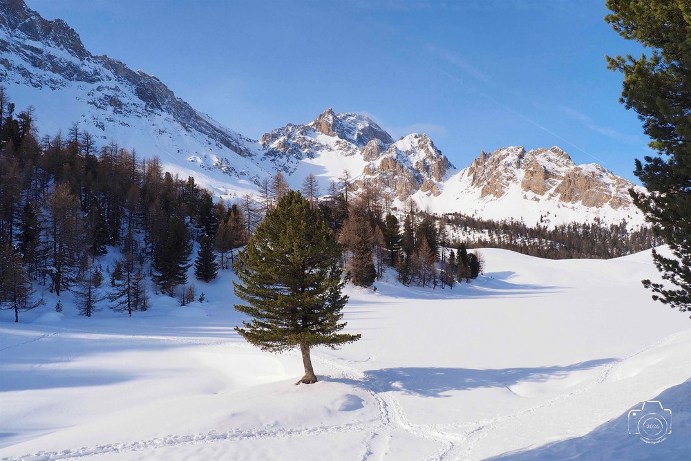 618247215-25480082951614618-5937145913704323083-n