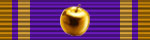 Gold-Apple-20.jpg